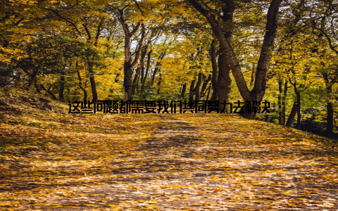 这些问题都需要我们共同努力去解决