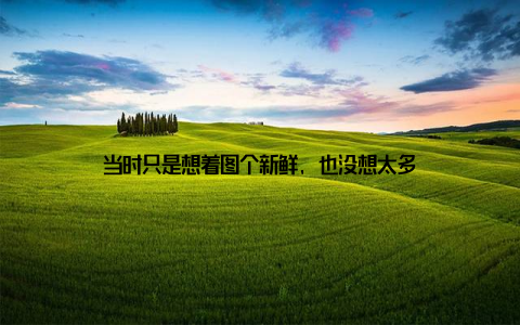 当时只是想着图个新鲜, 也没想太多