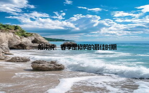 一般来说, 春季是修剪的最佳时期