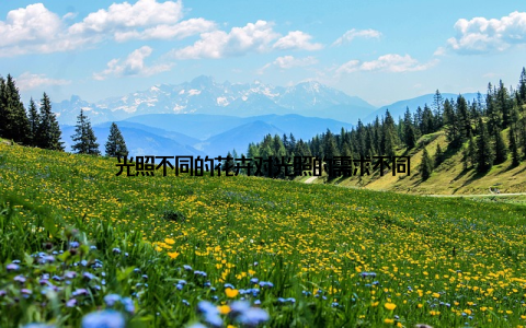 光照不同的花卉对光照的需求不同