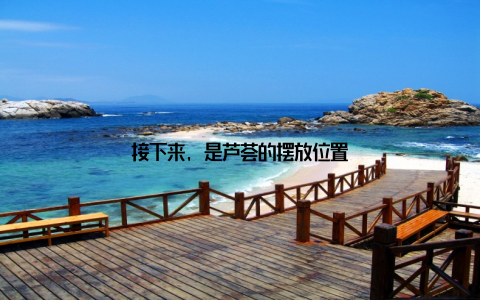 接下来, 是芦荟的摆放位置