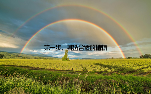 第一步, 挑选合适的植物