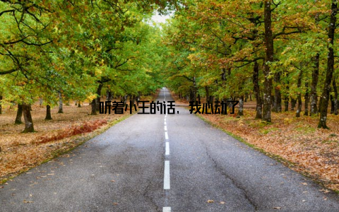 听着小王的话, 我心动了
