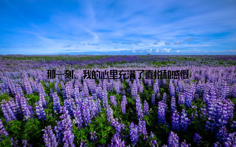 那一刻, 我的心里充满了喜悦和感慨