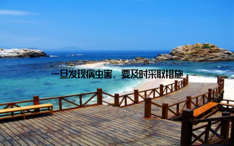 一旦发现病虫害, 要及时采取措施