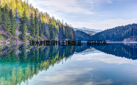 浇水时要保持土壤微湿, 避免积水