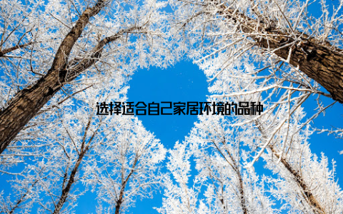 – 选择适合自己家居环境的品种