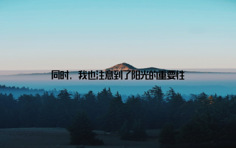 同时, 我也注意到了阳光的重要性