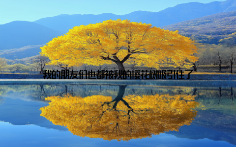 我的朋友们也都被我的樱花树吸引住了