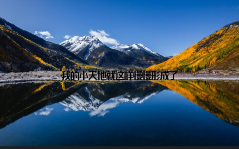 我的小天地就这样慢慢形成了