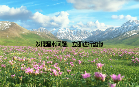 发现漏水问题, 立即进行维修