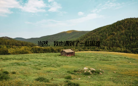 当然, 我也遇到了一些困难