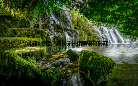 这种感受, 真是无法用言语来形容