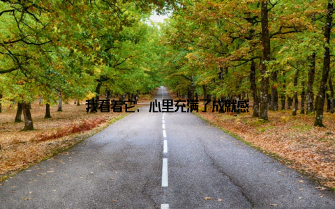 我看着它, 心里充满了成就感