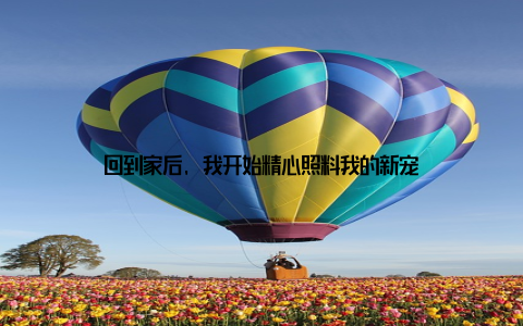 回到家后, 我开始精心照料我的新宠