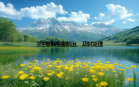 3注意病虫害防治, 及时处理