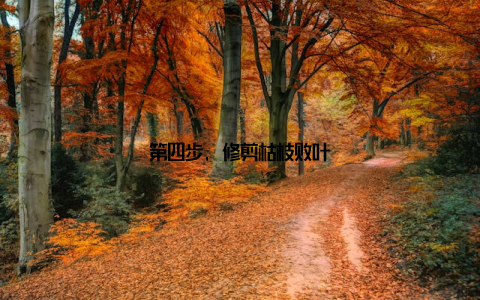 第四步, 修剪枯枝败叶