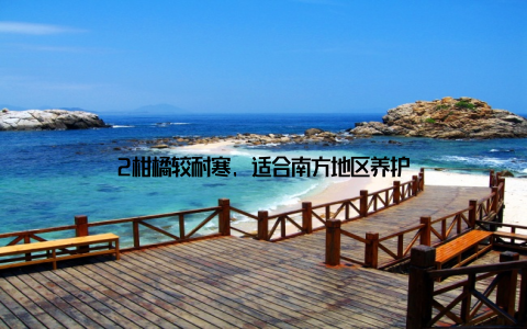 2柑橘较耐寒, 适合南方地区养护