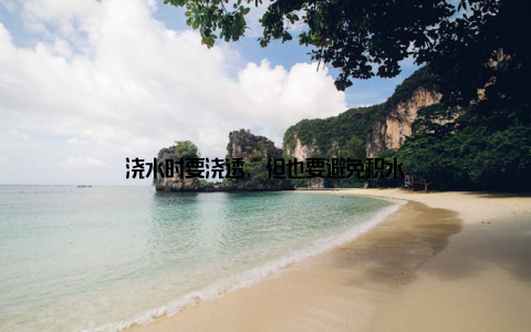 浇水时要浇透, 但也要避免积水