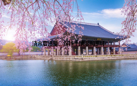 浇水要适量, 保持土壤湿润即可