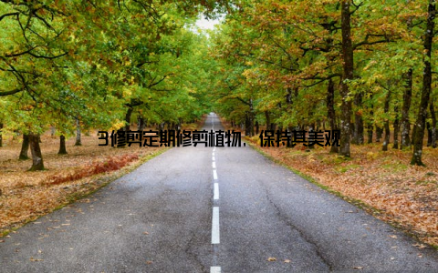 3修剪定期修剪植物, 保持其美观