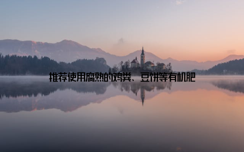 推荐使用腐熟的鸡粪、豆饼等有机肥