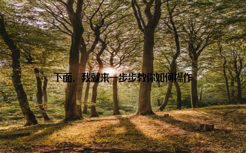 下面, 我就来一步步教你如何操作