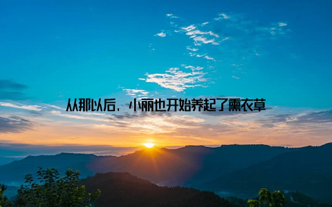 从那以后, 小丽也开始养起了熏衣草